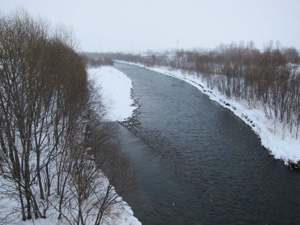 河川の写真