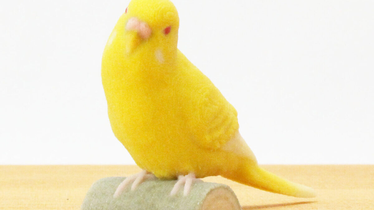 セキセイインコ・ルチノー - 株式会社ゆほびか