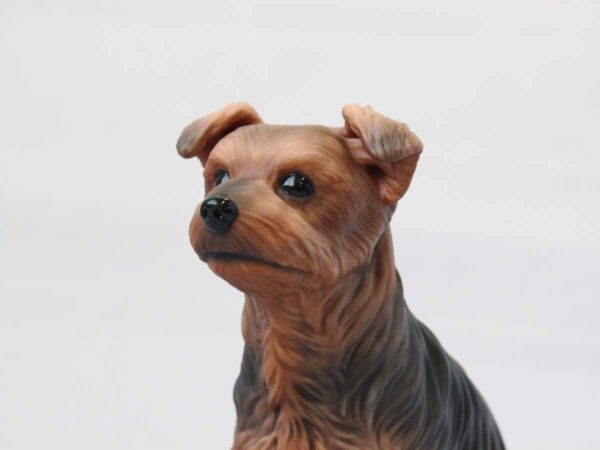 龍之介くんの表情アップ