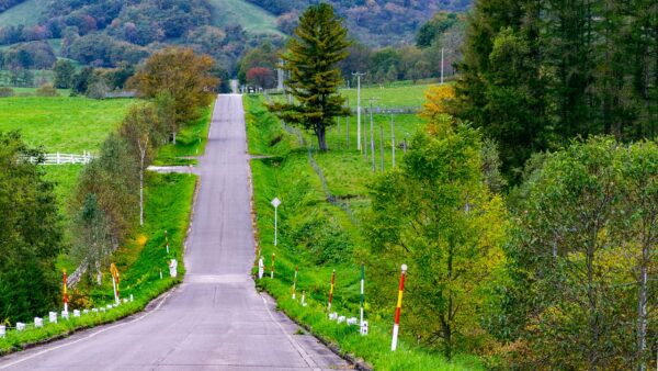 北海道の雄大で直線的な道路のイメージ画像